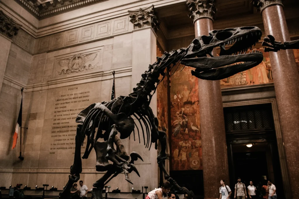 visiting american-museum of natural history new york