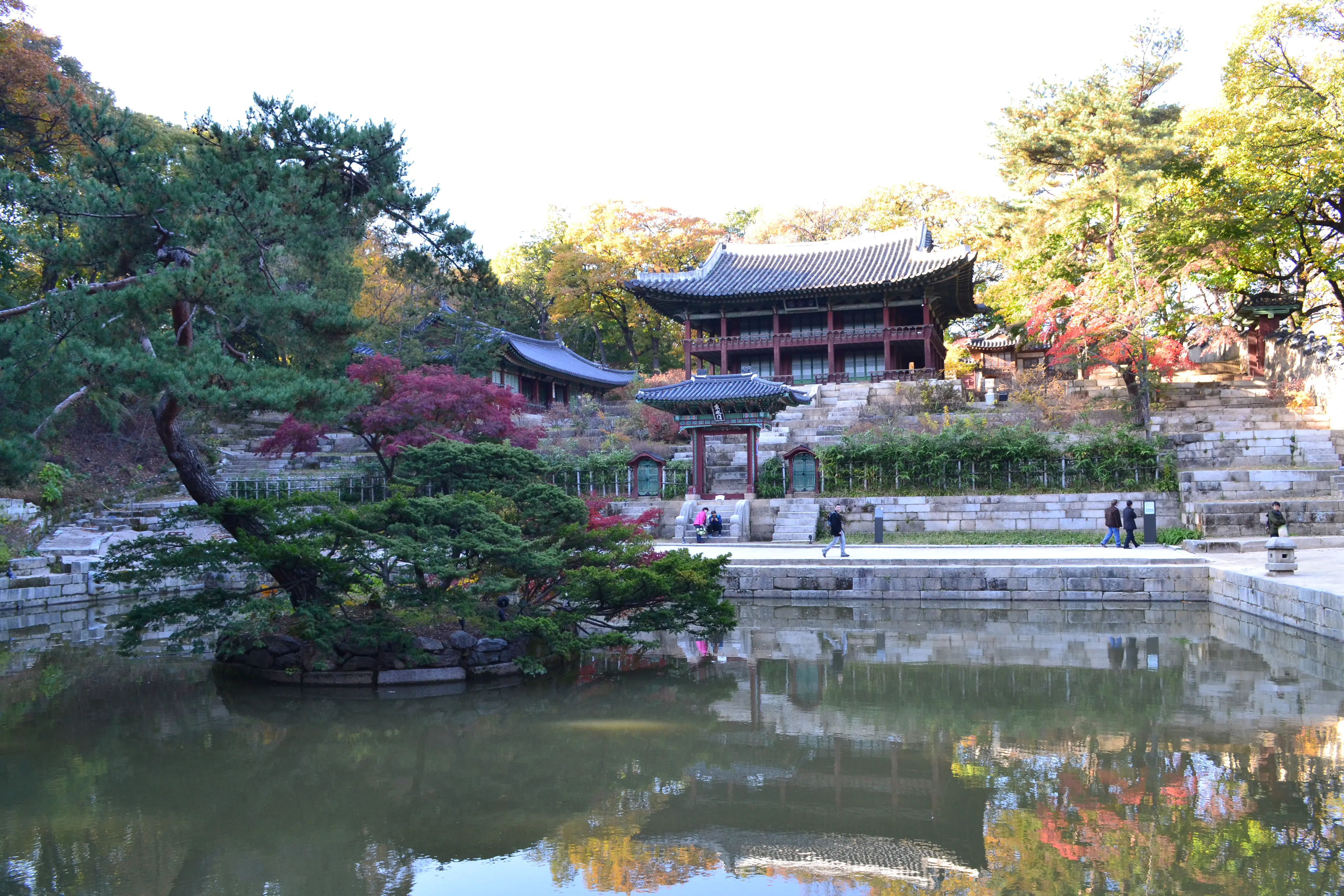 Visit Changdeokgung and its secret garden | Seoul Palace