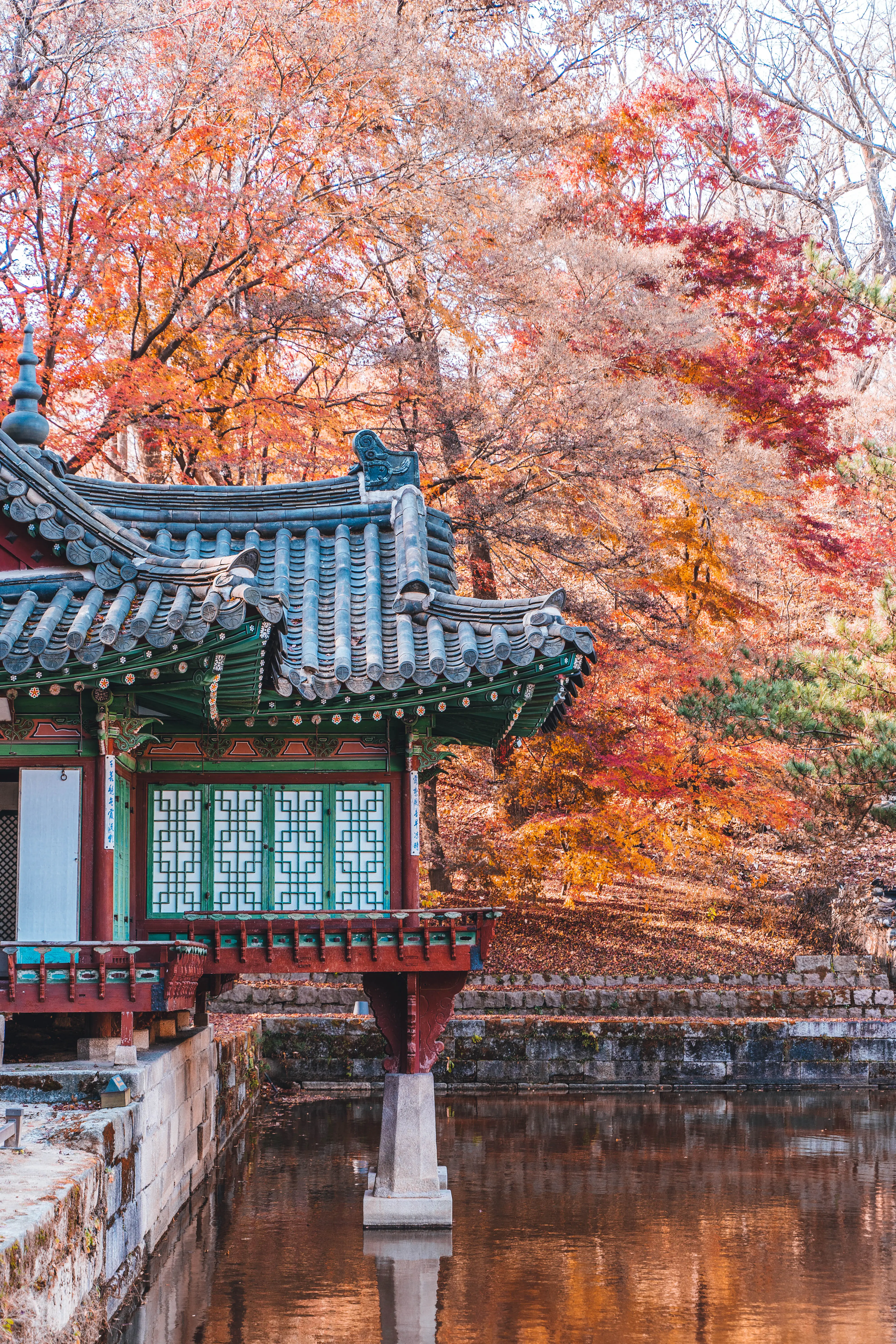 Travel to Seoul in Autumn