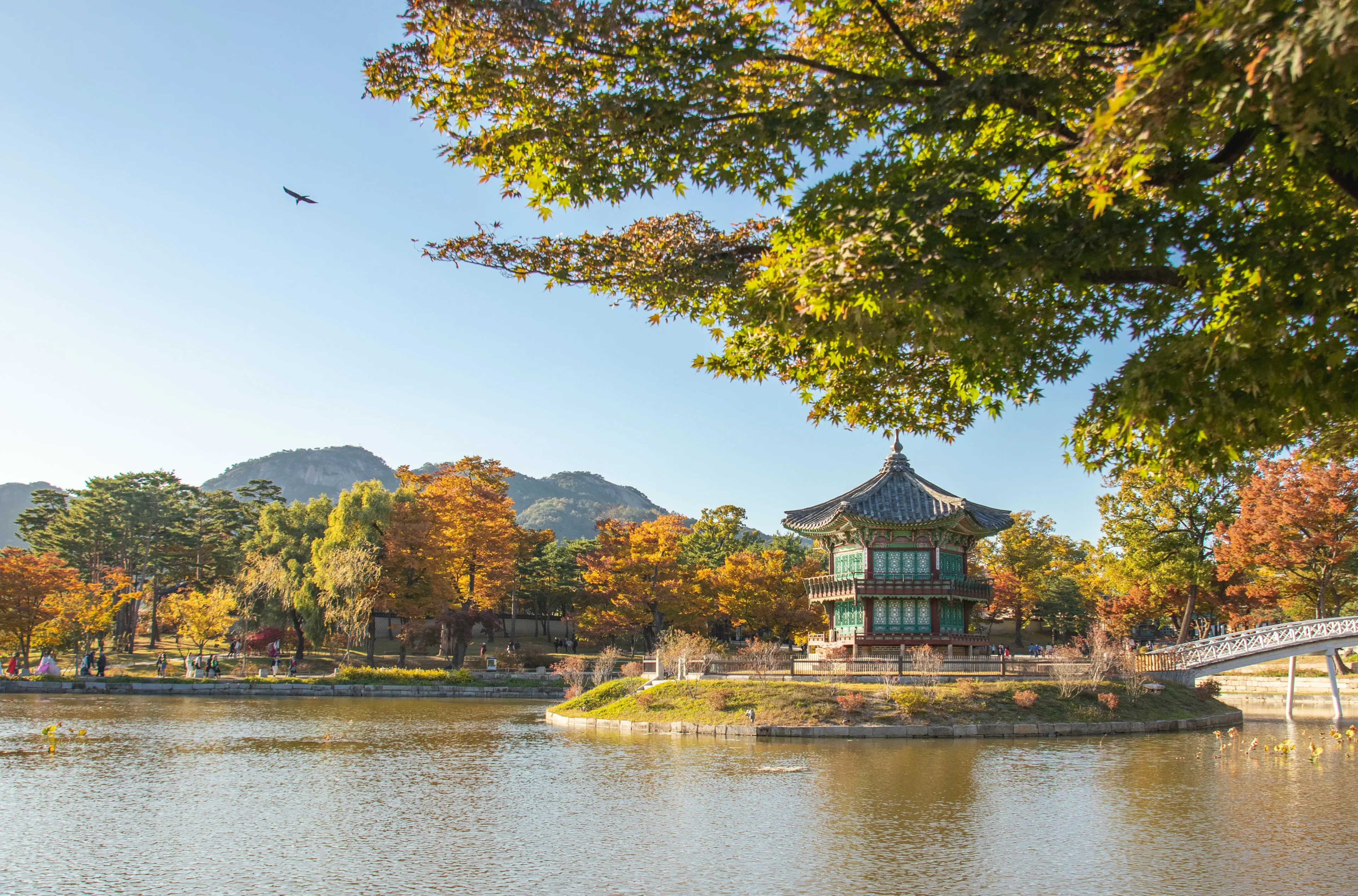 The best time to visit Seoul, South Korea Weather, budget, best months