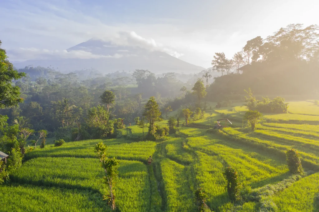 Best things to do in Bali, Indonesia