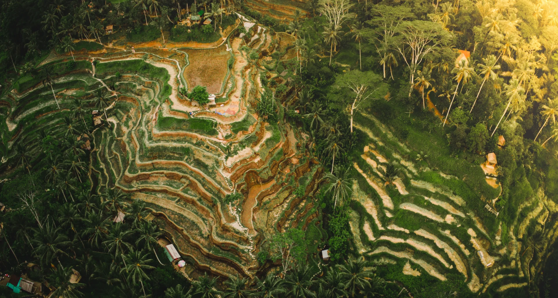 Guide to Tegallalang and Ceking Rice Terrace in Bali, Indonesia