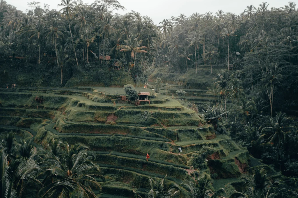 Where to stay in Ubud or Tegallalang in Bali, Indonesia