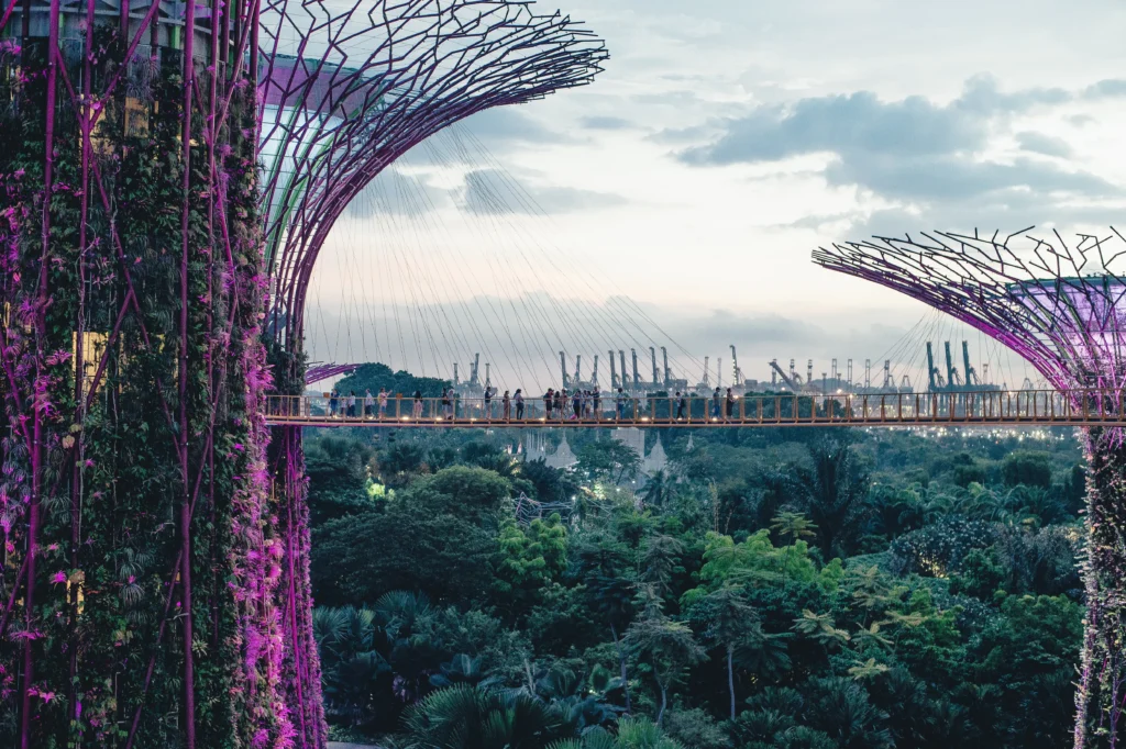 Best things to do in Gardens By the Bay, Singapore