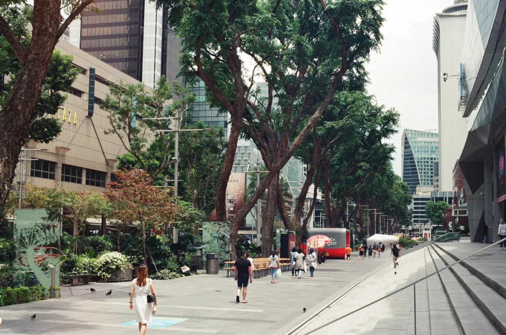The best things to do in Singapore: Orchard Road