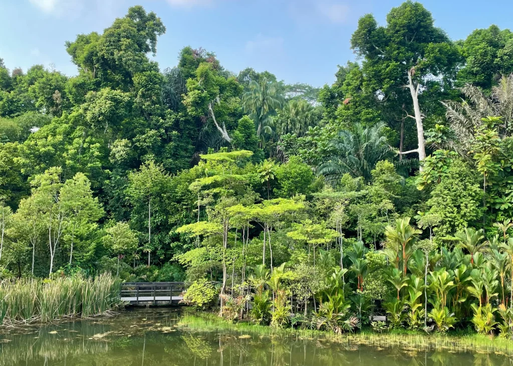 Botanical Garden in Singapore