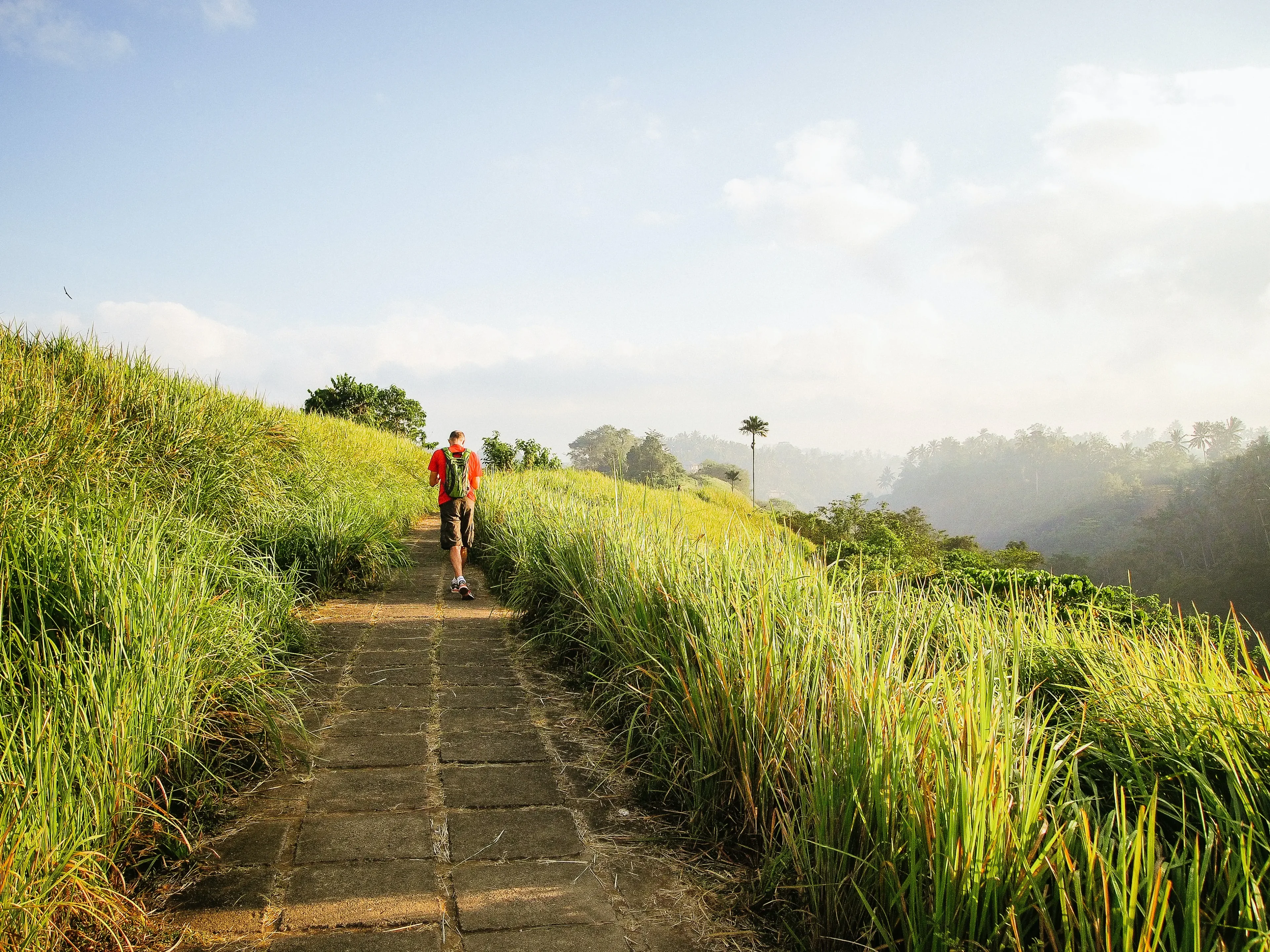 Campuhan Ridge Walk, 14-day itinerary in Bali