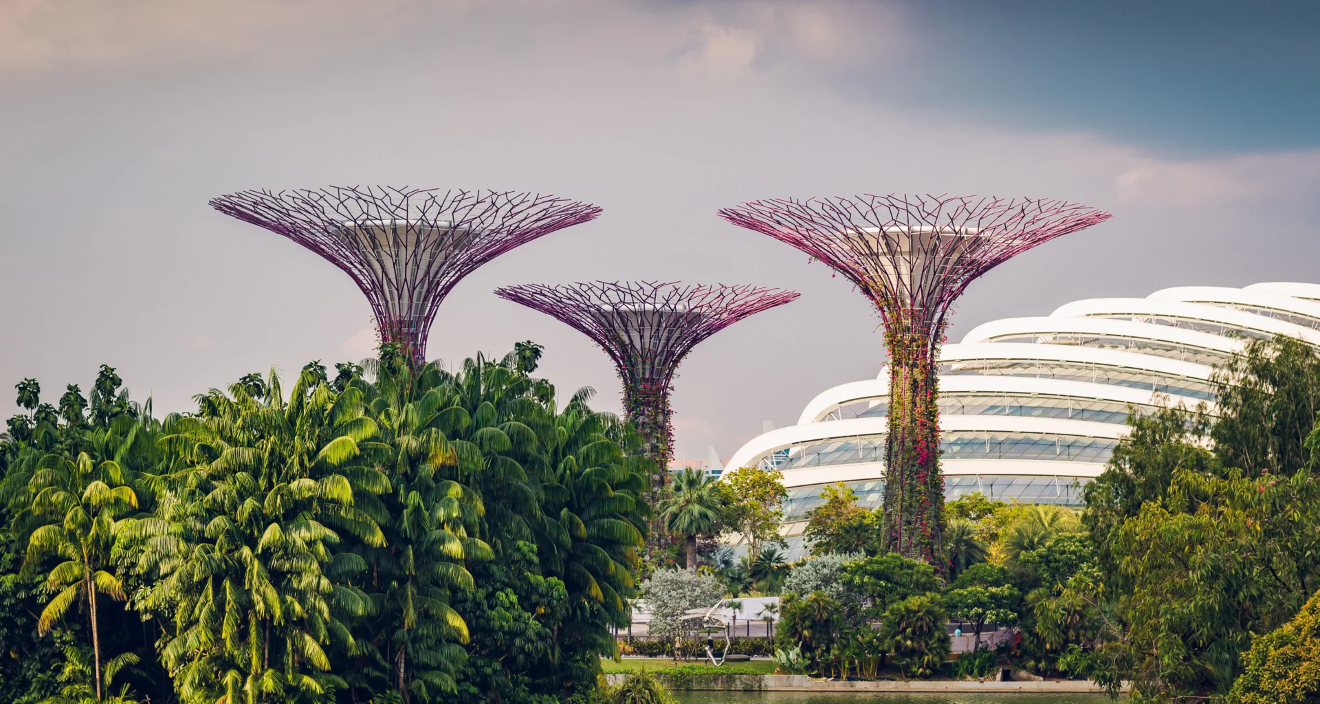 Top 30 Best Things to do in Singapore