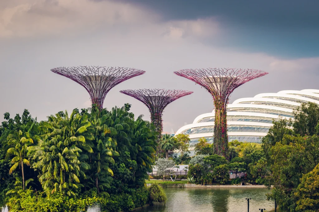 Visit Gardens by the Bay in Singapore