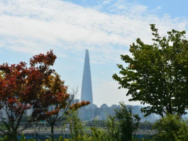 Visiting Lotte World Tower in Seoul, South Korea