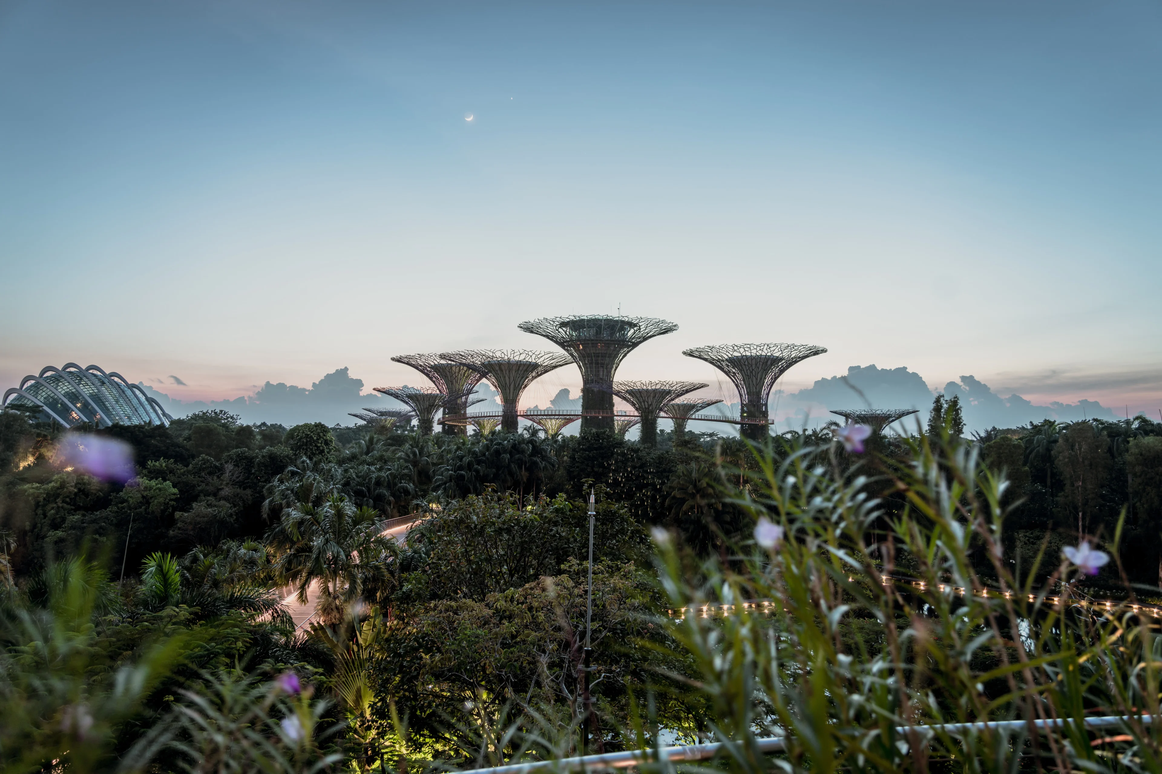 Visitors Guide to Gardens by the Bay in Singapore